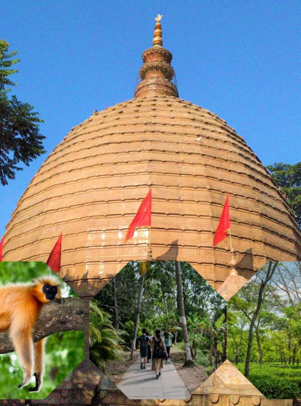 Bharat Darshan North East tour Packages