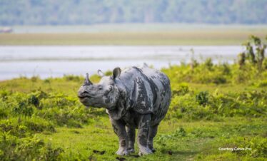 Bharat Darshan North East tour Packages