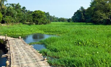 Bharat Darshan North East tour Packages