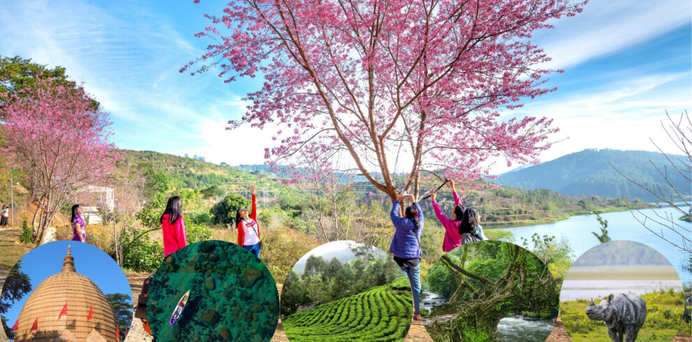 Assam and Meghalaya Tour Package