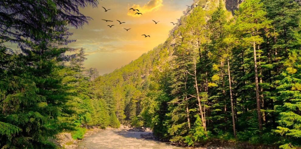 Himachal-Tourism-tour-Packages