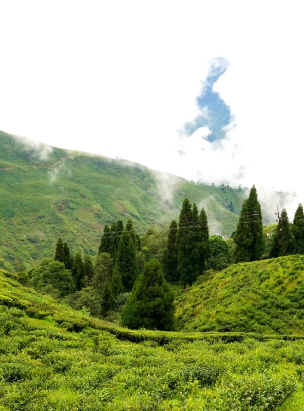 Bharat Darshan North East tour Packages