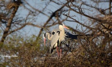 Bharat Darshan Golden Triangle Trip2