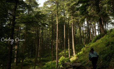 Bharat Darshan Kafni Tours