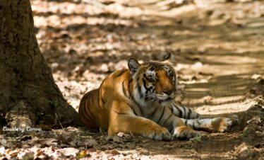 Bharat Darshan Kumaon Tour3