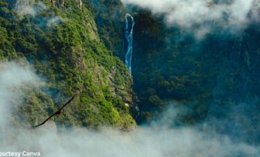 Bharat Darshan Nilgiris Tour Packages