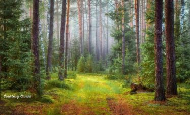 Bharat Darshan Uttarakhand Tourism