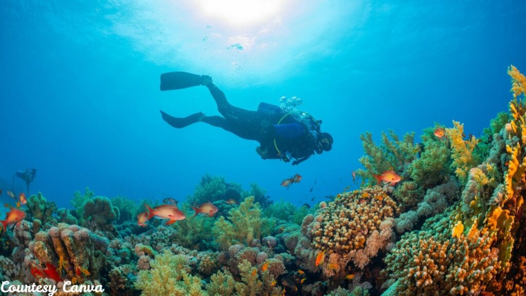 Bharat Darshan Andaman Tourism