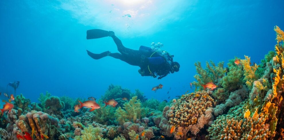 Bharat Darshan Andaman Tourism