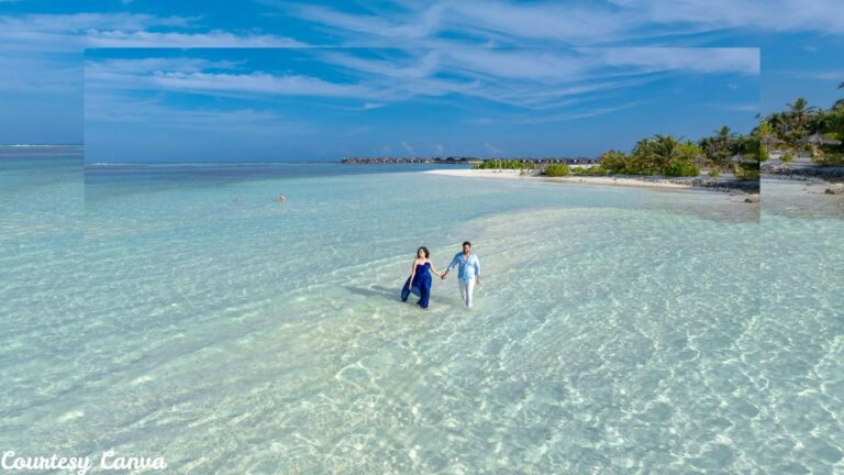 Bharat Darshan Andaman Tourism7