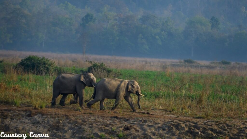 Bharat Darshan Corbett and Nainital Trip