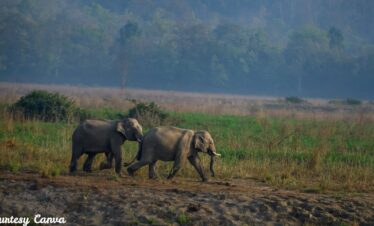 Bharat Darshan Corbett and Nainital Trip
