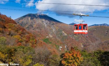 Bharat Darshan Corbett and Nainital Trip