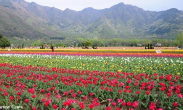 Bharat-Darshan-Kashmir-Trip