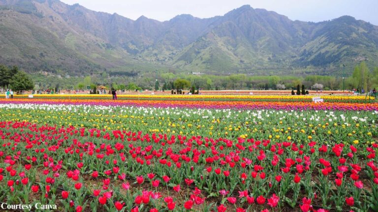 Bharat-Darshan-Kashmir-Trip