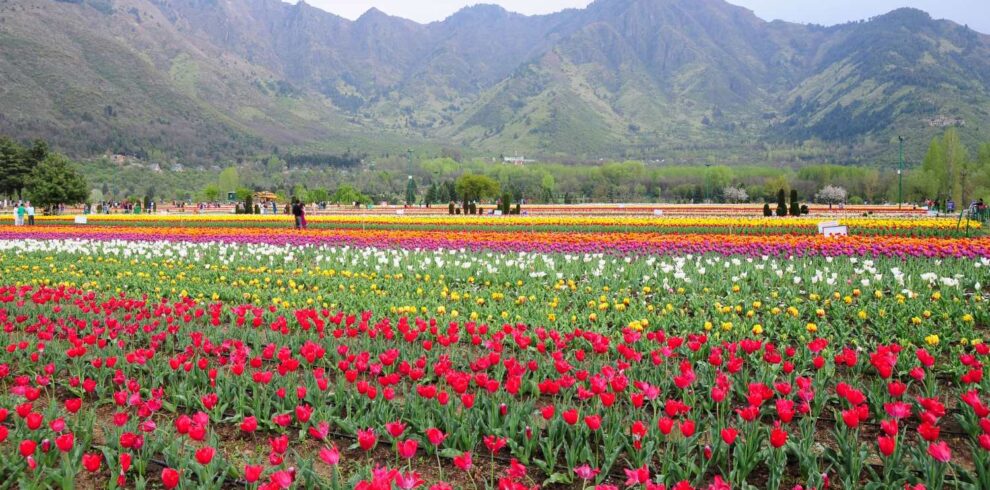 Bharat-Darshan-Kashmir-Trip