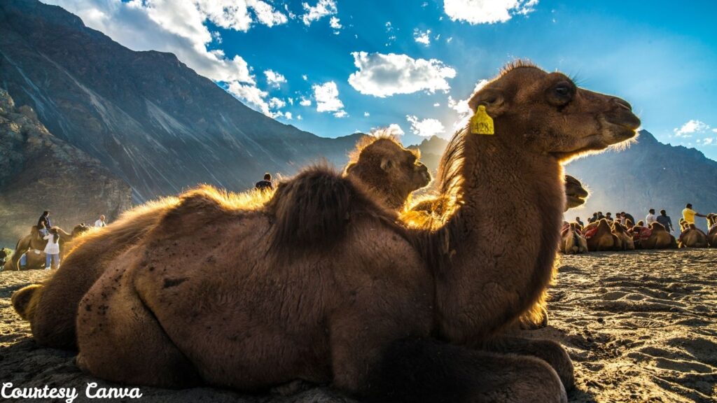 Bharat Darshan Leh Ladakh Trip