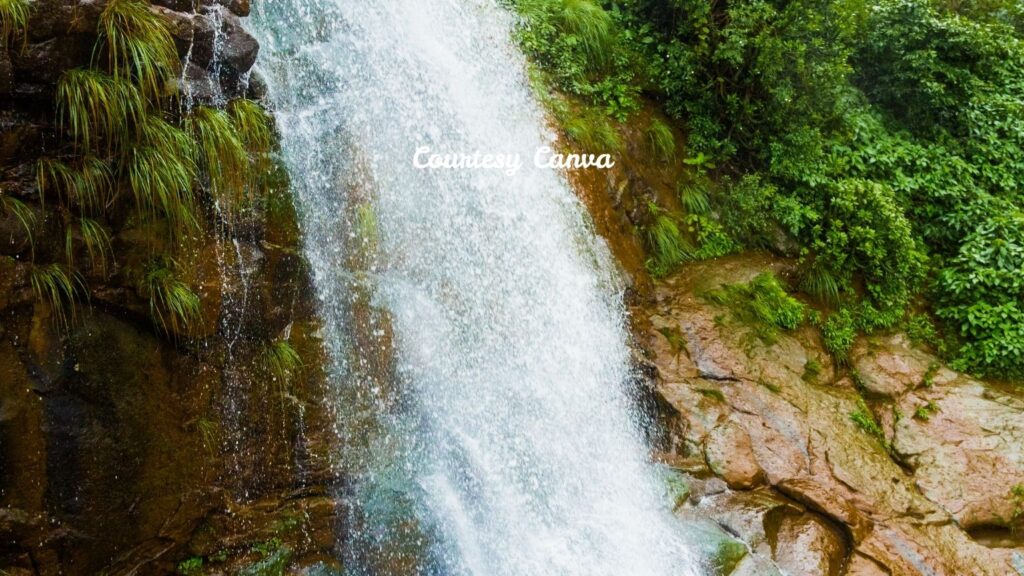 Bharat Darshan HIlls of Sahyadri