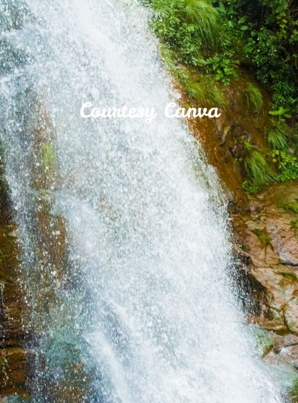 Bharat Darshan HIlls of Sahyadri