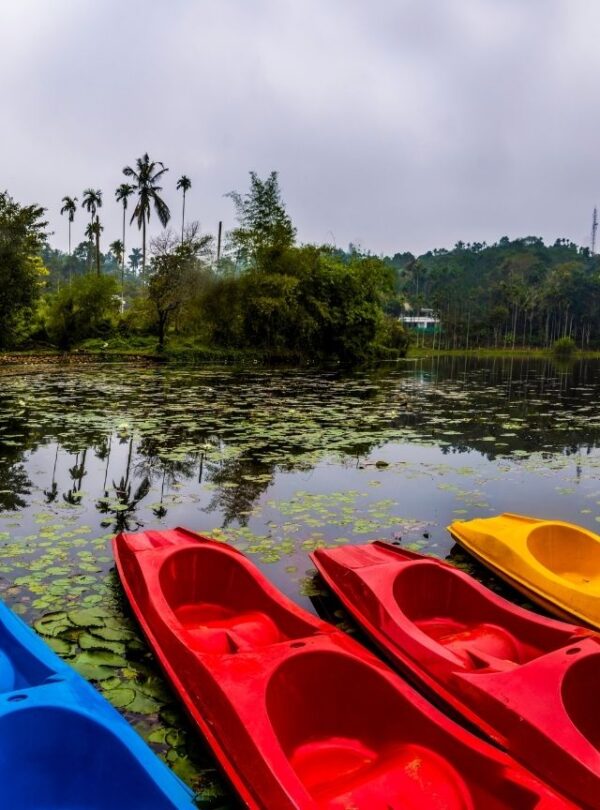 Bharat Darshan Ooty and Wayanad Trip