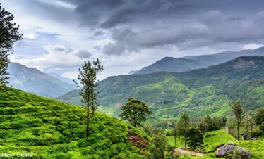 Bharat Darshan Ooty and Wayanad Trip