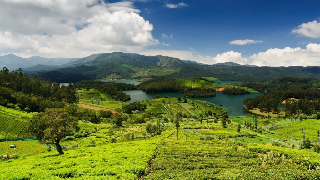 Bharat Darshan Ooty and Wayanad Trip