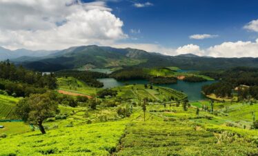 Bharat Darshan Ooty and Wayanad Trip
