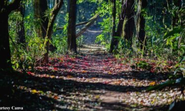 Bharat Darshan Lansdowne Tour