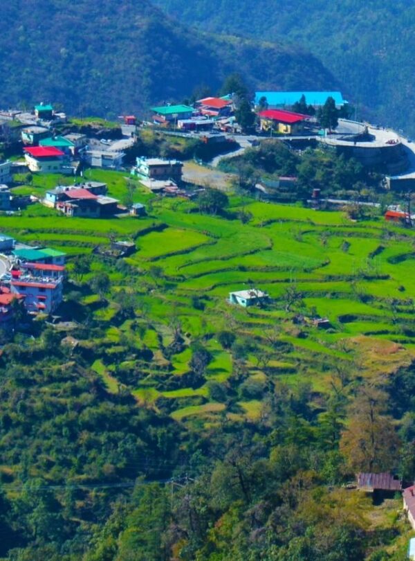 Bharat Darshan Mussoorie and Dhanaulti Combo