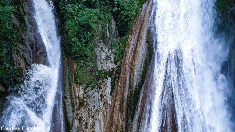 Bharat Darshan Mussoorie and Dhanaulti Combo