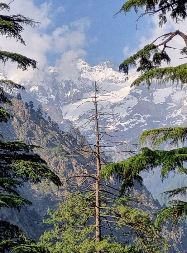 Kasol Himachal by Bharat Darshan Tours